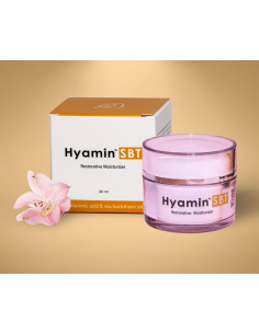 Dermal Lifting Filler Creme Hyamin SBT